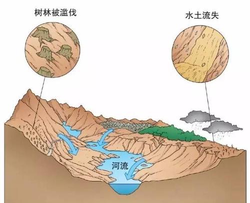 水土保持